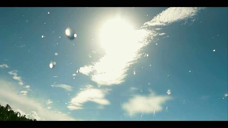 [whimsical music]