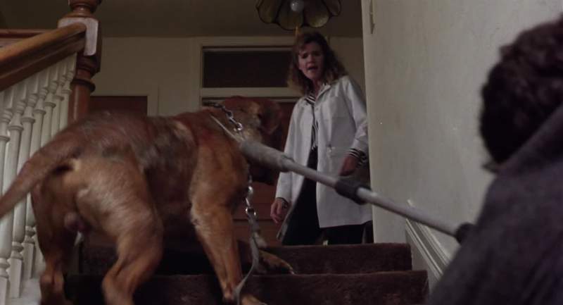 WHINING Hey what are you doing to this dog