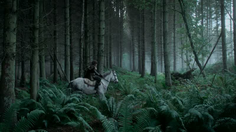 Robb?