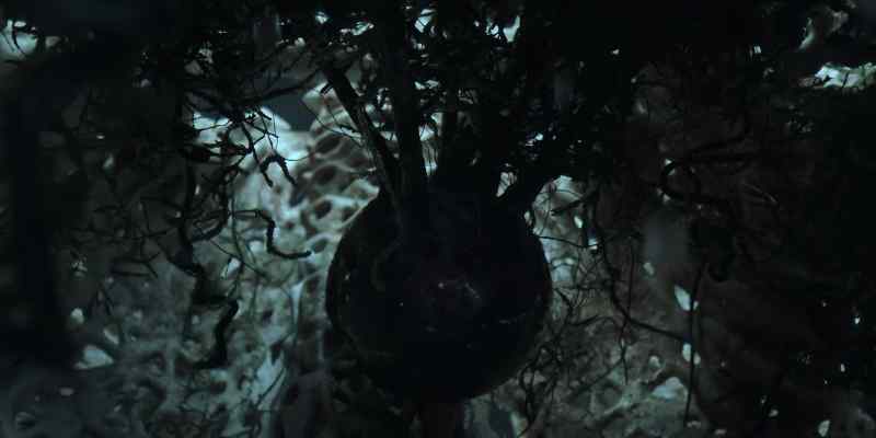 [whirring]