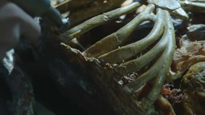 [whirring] SIDLE: Poor Kelsey