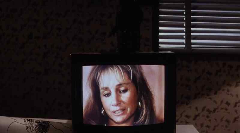 Whitney Taylor is a plagiarist