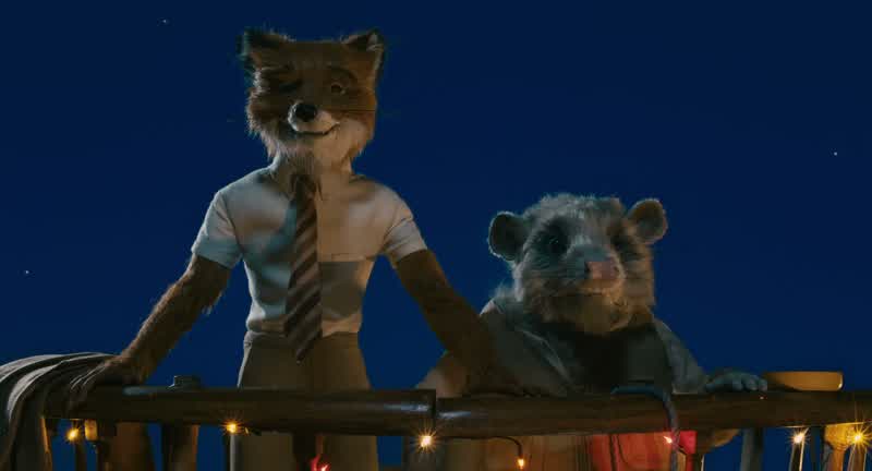 Who am l KylieWho how What nowWhy a fox Why not a horse a beetle or a bald eaglel'm saying this more as existentialismWho am l and how can a fox ever be happywithout forgive the expression a chicken