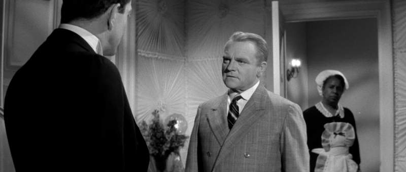 Who are you What are you doing here