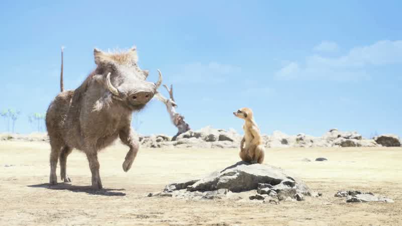 Who are youUh we're the guys who saved your lifeYesRisked everything Fought off angry vulturesHordes of them FlocksI'm PumbaaThis is Timon Did I mentionthat we saved your lifeIt doesn't matterWhoa How