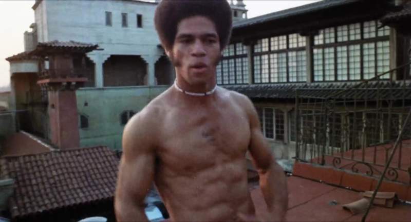 Who do you think you are Muhammad Ali