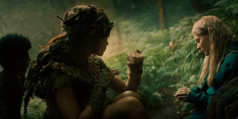 Who enters our forest?