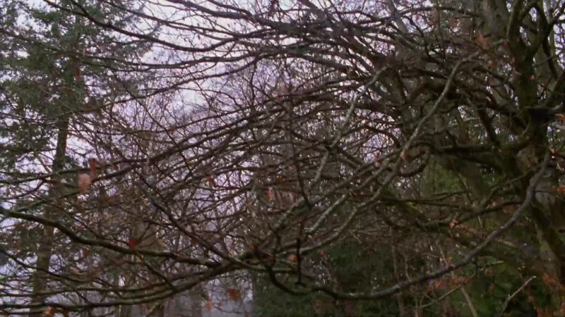 Who found her? - The gardener