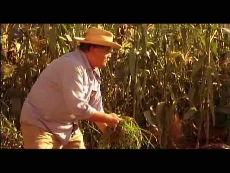 Who is he, abuelito?