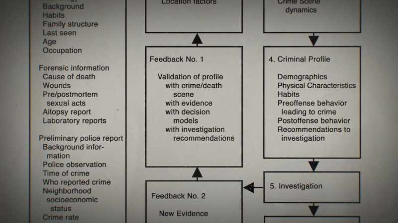 Who identified characteristics of the offender