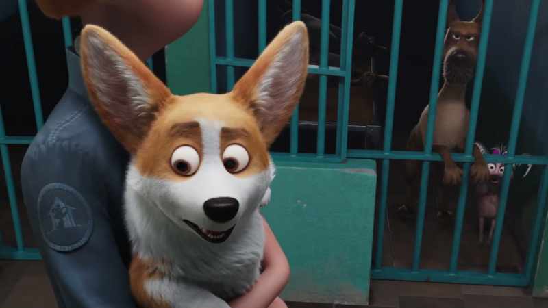 Who is that cute puppy?