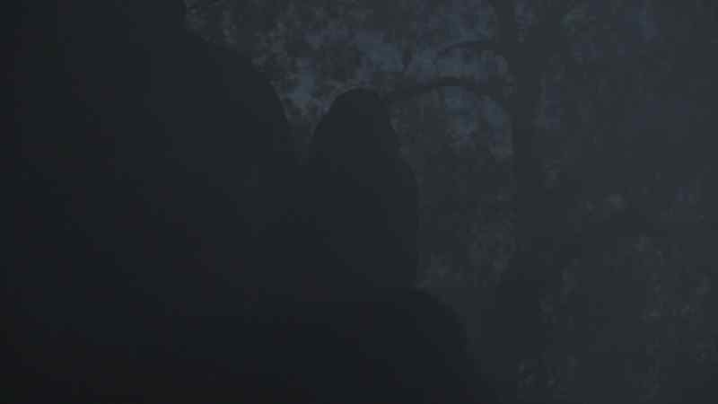 Who is that?