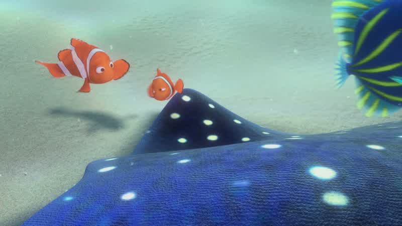 Hello Who is this I'm NemoNemo all new explorers must answer a science questionOK You live in what kind of homeAn anemon noneA nemenem menomeOK don't hurt yourself Welcome aboard explorers