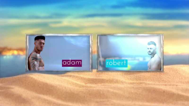 Who will you choose to send in to the villa?