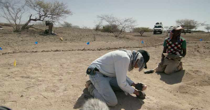 Whoa! Bingo!