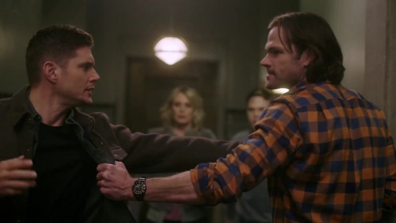 Whoa! Hey. Hey! Not now. Okay?