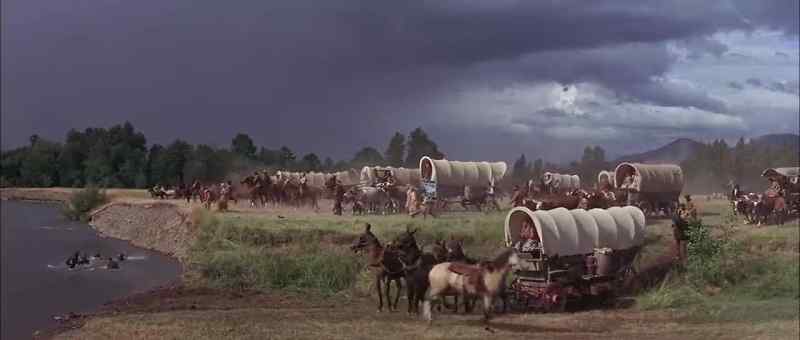 Whoa, mules!