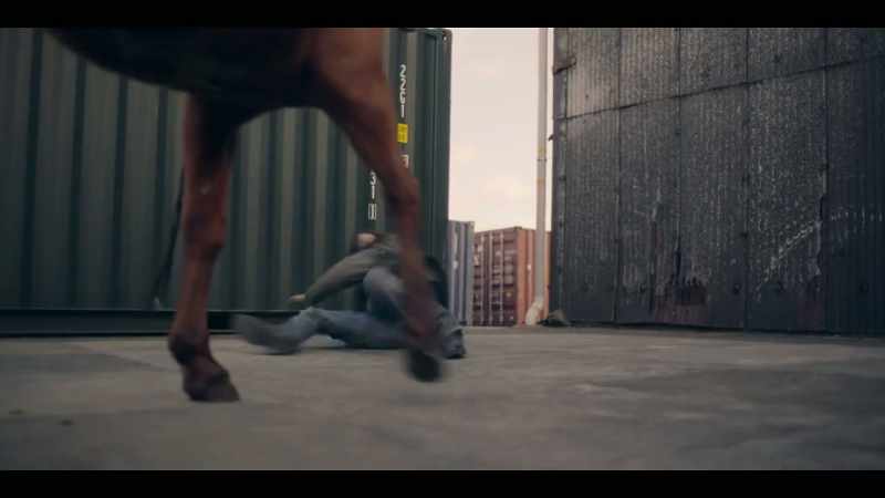Whoa! - [NEIGHS]