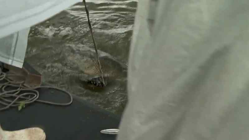 Whoa! Oh!