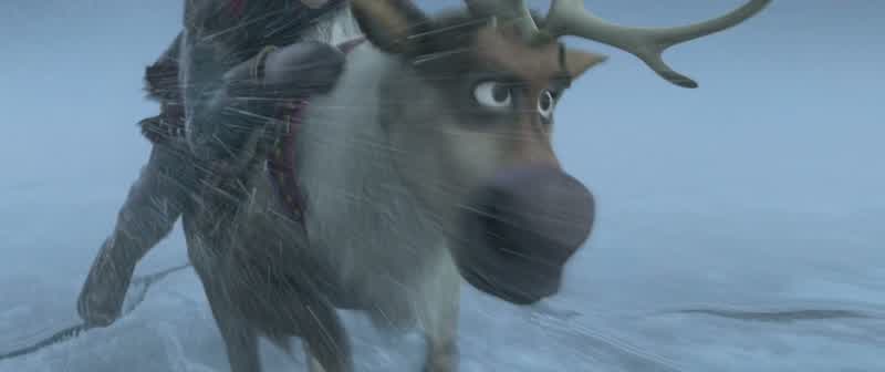 Whoa! Sven... Sven!
