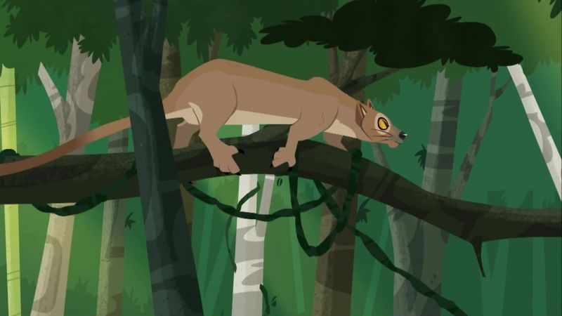 Whoa, and that super long tail