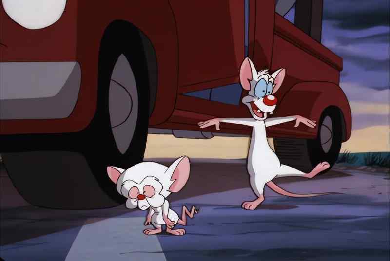 WHOA! THAT WAS WILD, HUH, BRAIN?