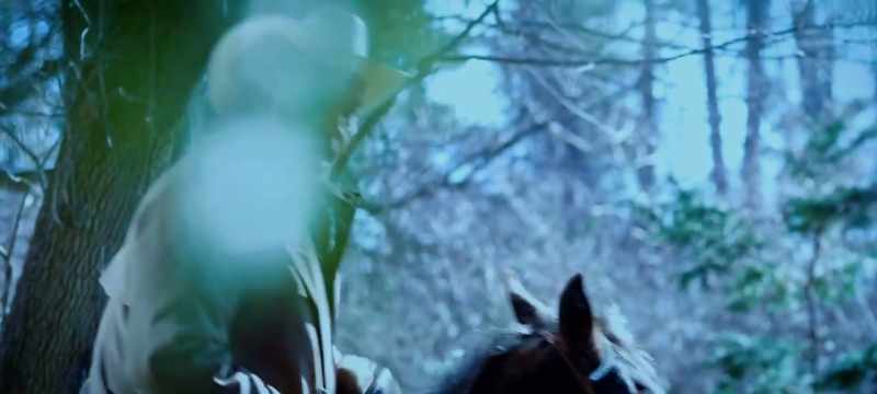 Whoa, whoa. [horse grunts]