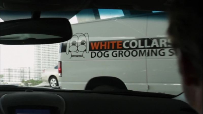 Whoa, whoa! Van! Van!