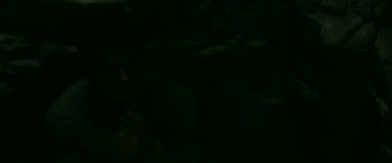 Who's there?