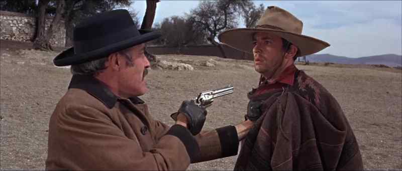 Whose cattle?