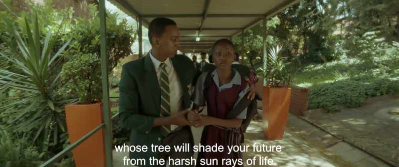 Whose tree will shade your future from the harsh sun rays of life