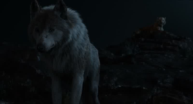 Why are you doing thisHe's goneIsn't that what you wantedI want him deadOnce he gets word of what happened herehe'll come backAnd I'll be waiting