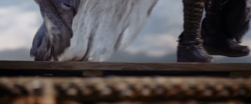 Why are you here?