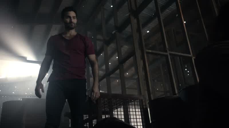 Why are you hunting werewolves?