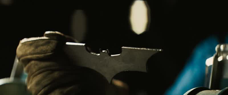 Why bats, Master Wayne?