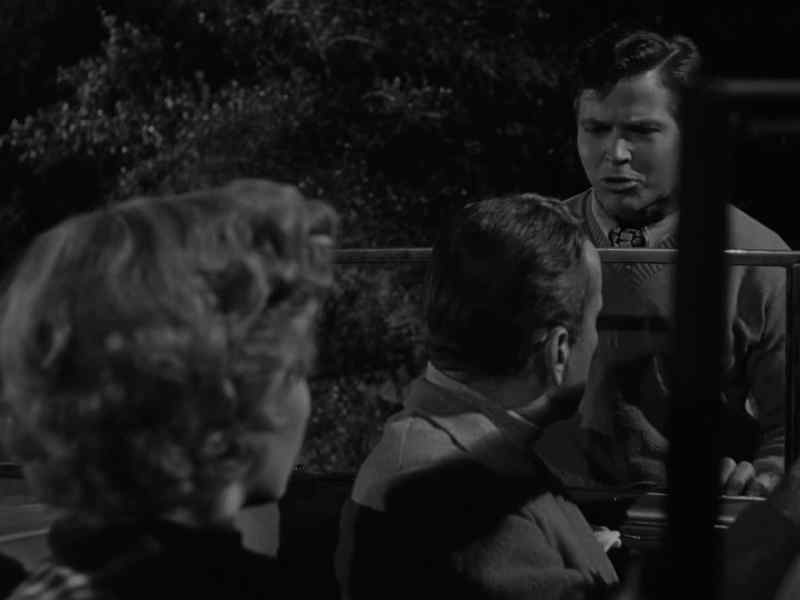 Why, you blind, knuckle-headed squirrel! Don't you look where you're going?