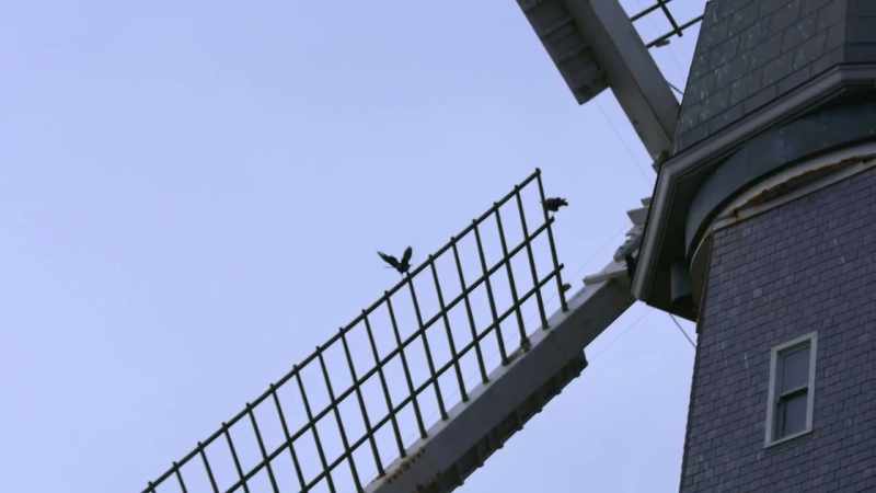 Why build two giant dutch-style windmills