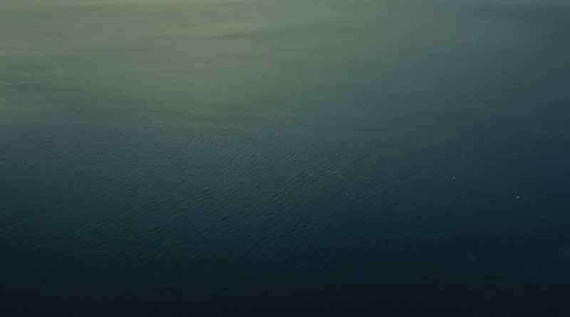 �� Why call in sick, if everyone, not me