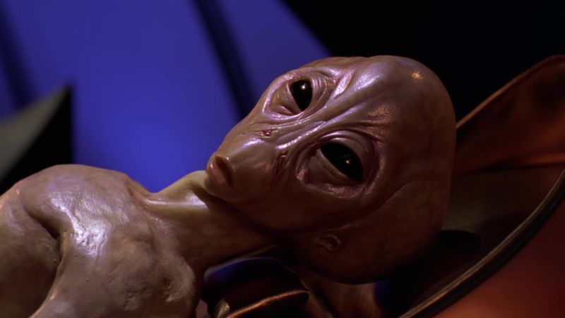 Why can't I see any bugs on the screen? - The first thing the replicators do