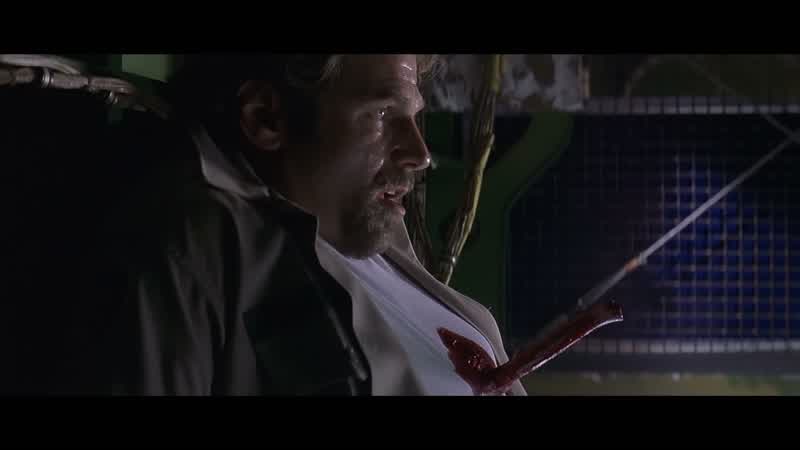 Why couldn't you put the bunny back in the box?