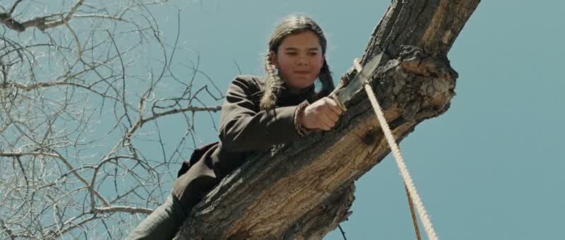 Why did they hang him so highRooster I do not knowMust play in the belief it'll make him more dead