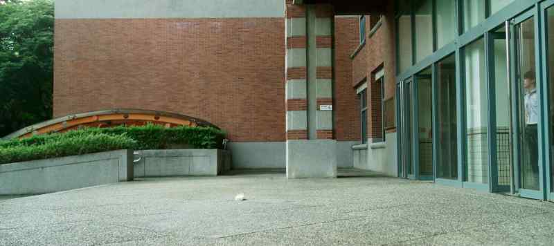 Why did you leave it there?
