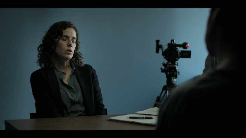 Why did Nicole Kleber give you up to the authorities?
