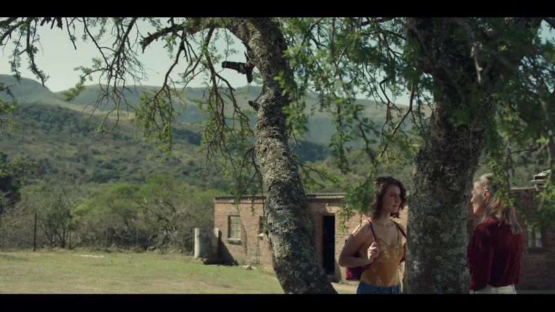 Why did he open a girl's school on the farm?