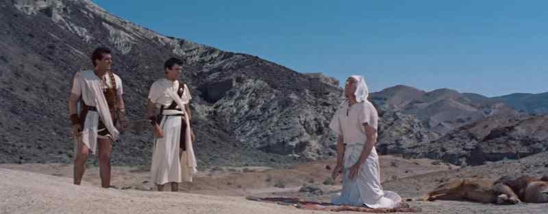 Why didn't you run, you fool? You were nearly killed!