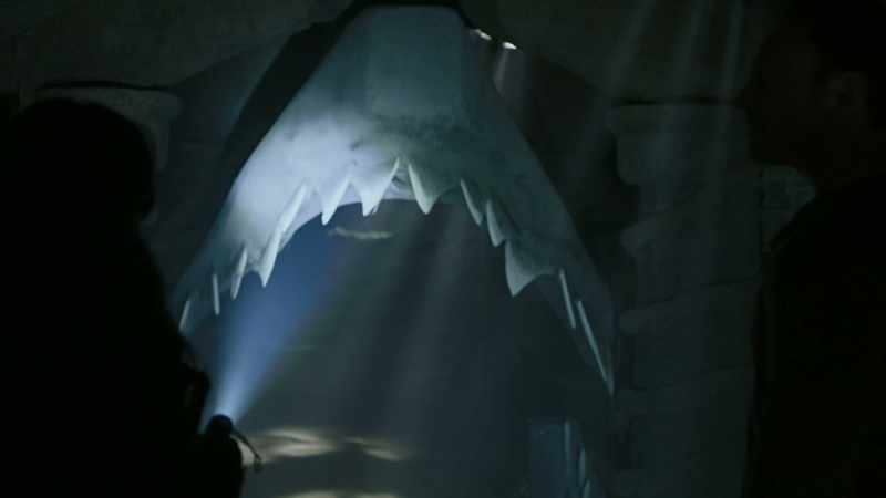 Why do you always sharks?