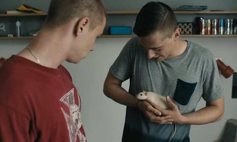 Why do you have a mouse? - It's my rat