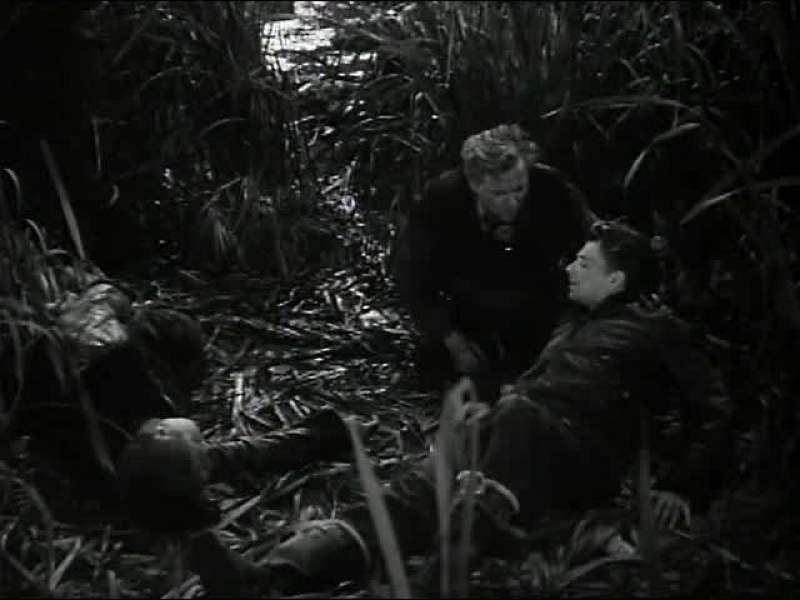Why do you have to wake me up every time I got a date with Ann Sheridan