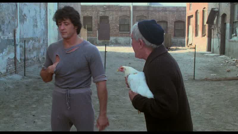 Do you have to wear that stinking sweatshirtWell it brings me luckYou know what it brings It brings fliesNow listen I want you to try Listen to meI want you to try to chase this little chickenWell