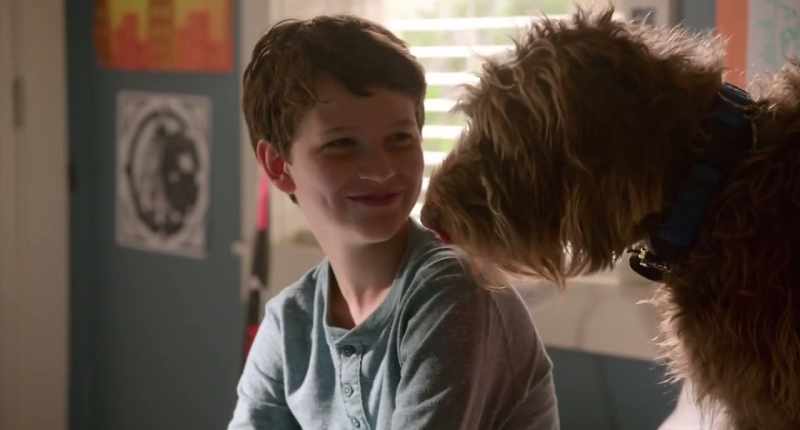 Why do you let a butt-sniffing dog lick your face?